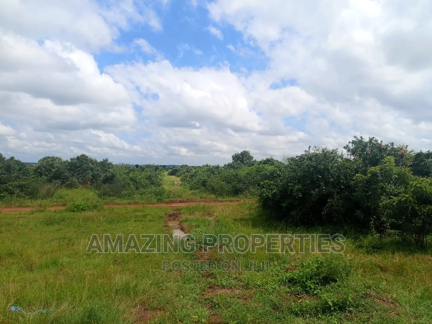 40 Acres Farm Land at Nsawam