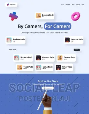 Website Development