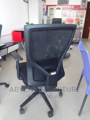 Ergonomic Chair