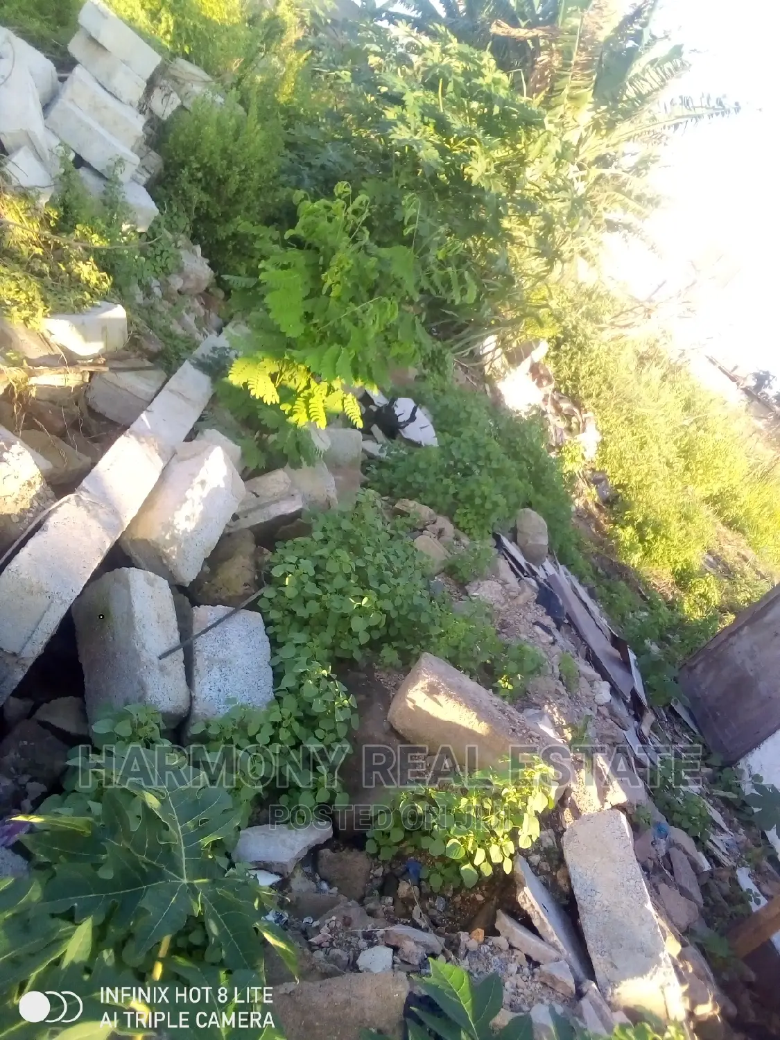 Land for Sale -Roman Ridge