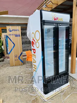 Durable and Affordable PearlPVC 622-2b 2door Display Fridge