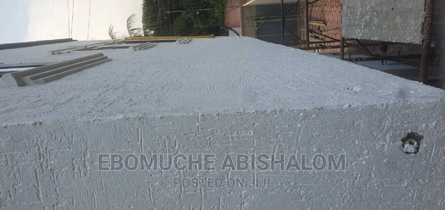 Professional Painter,Skimming,Grafiato and Well Treatments