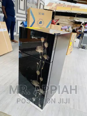 Classic Design Pearl 16T Double Door Fridge(Black) 