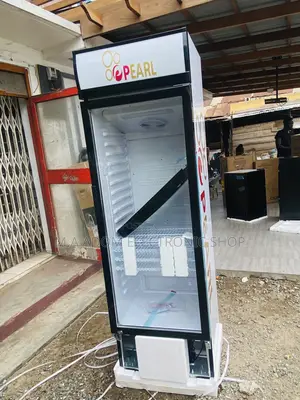 Quality Yet Affordable Pearl PVC 424-2b Single Door Fridge 