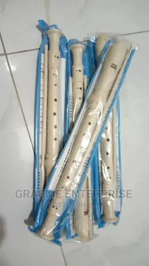 Plastic Flute Or Recorder