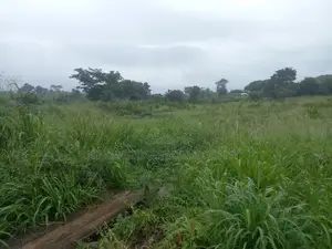 Commercial Land for Sale at (Asuboi) Accra -- Kumasi Highway