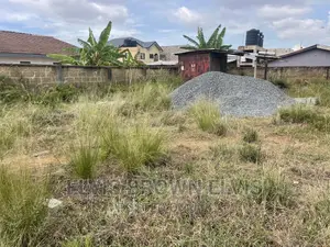 Do You Need a Half Plot of Land for at Botwe SCH Jut