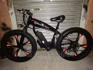 Luxury Benz Electric Bicycle All Roads 40km