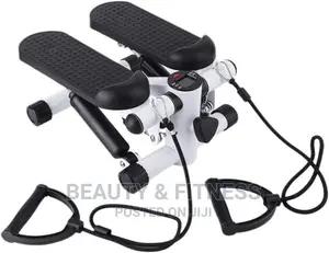 Mini Stepper Fitness Exercise