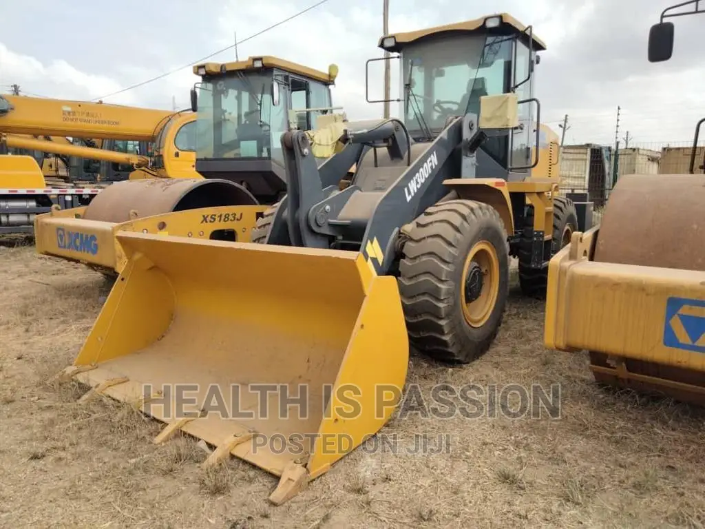 Brand New XCMG Loader for Hotsale, Cool Price
