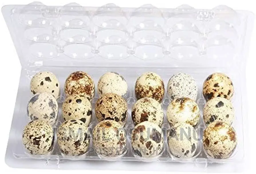 Organic Quail Egg