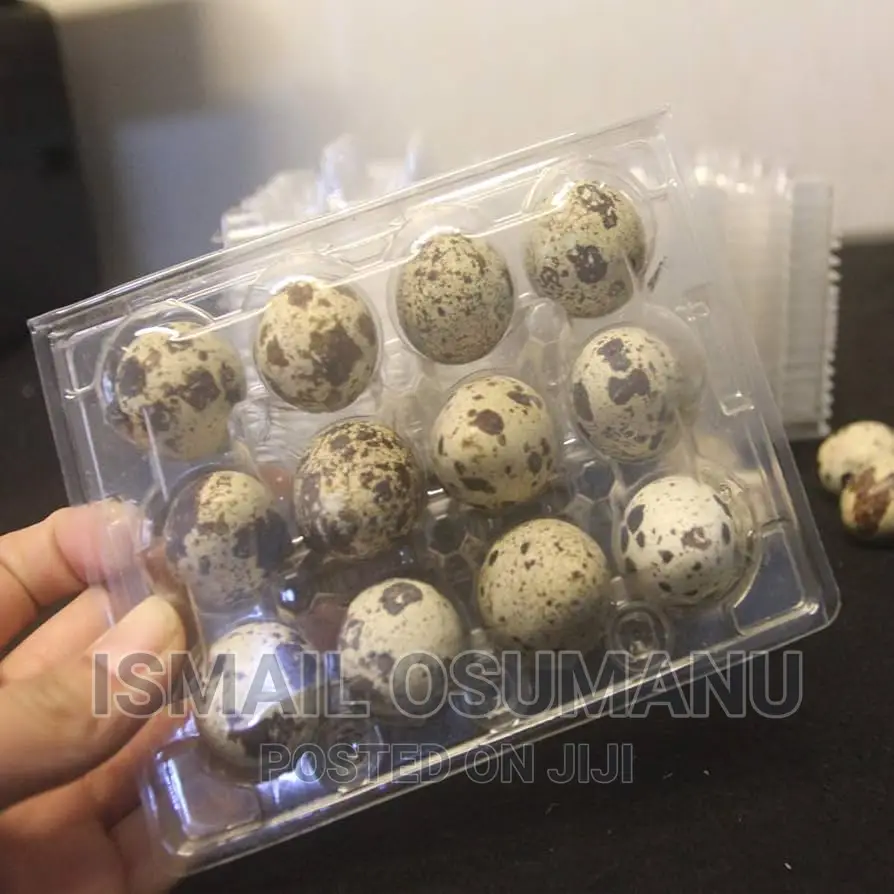 Organic Quail Egg