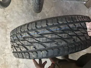 265/65r17 Brigdestone Rough Tire
