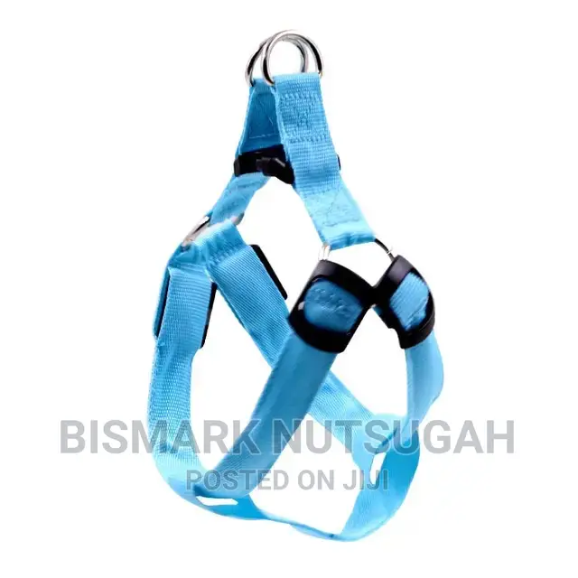 Pets Toys for Sale