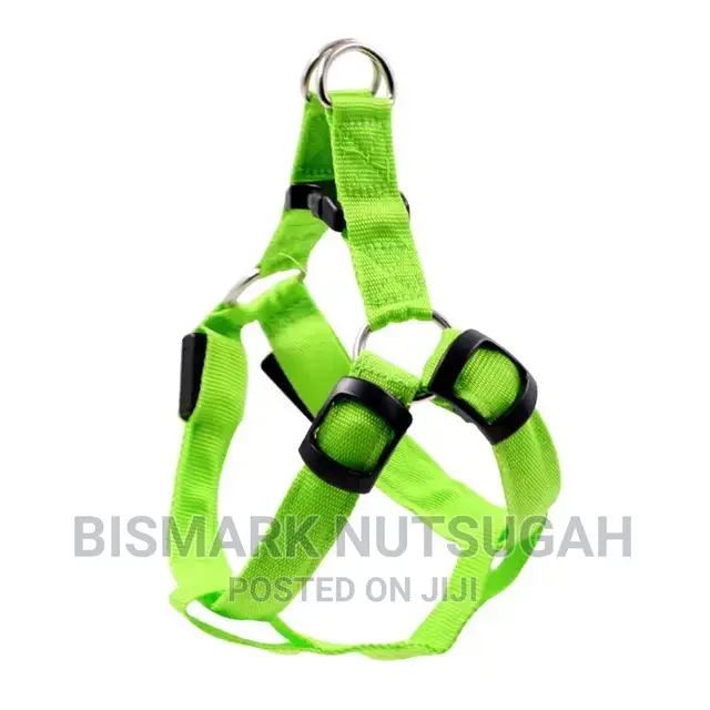 Pets Toys for Sale