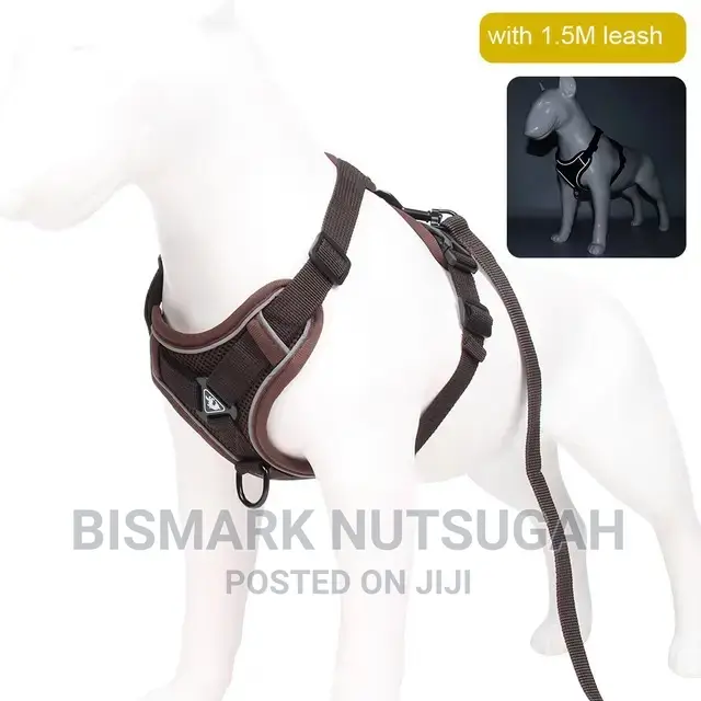 Pets Toys for Sale