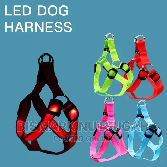 Pets Toys for Sale