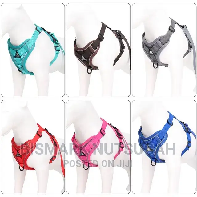 Pets Toys for Sale