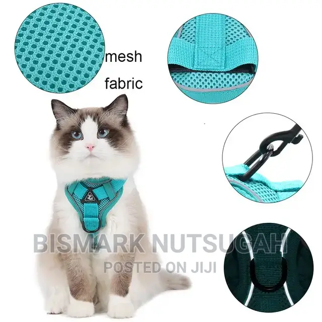 Pets Toys for Sale