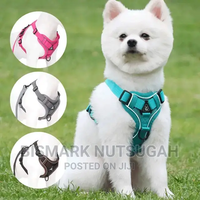 Pets Toys for Sale