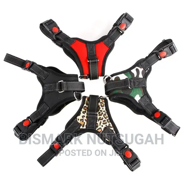 Pets Toys for Sale