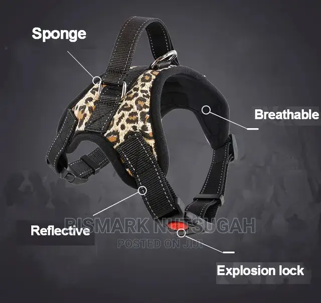 Pets Toys for Sale