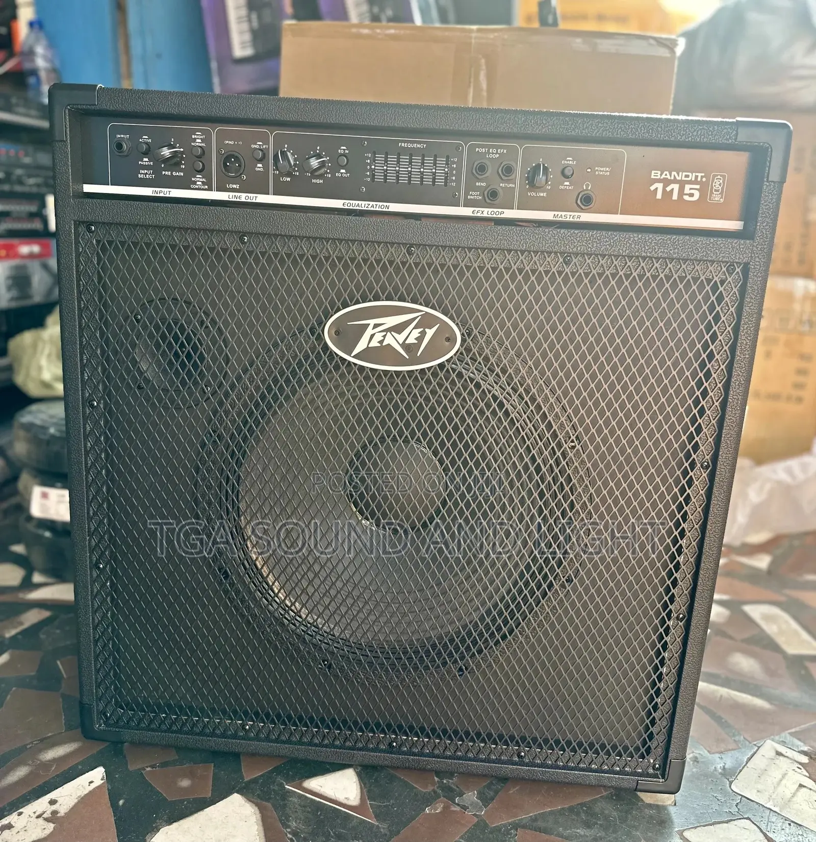 Peavey Guitar Amp / Bass Combo