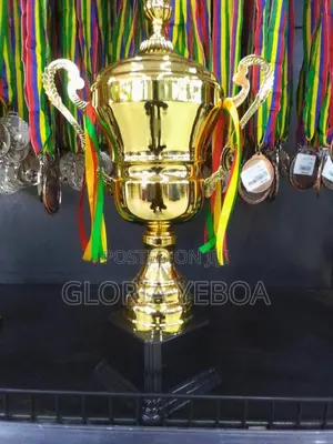 Nice Trophies for Sale