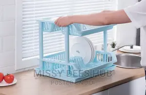 2 Tier Plastic Dish Rack
