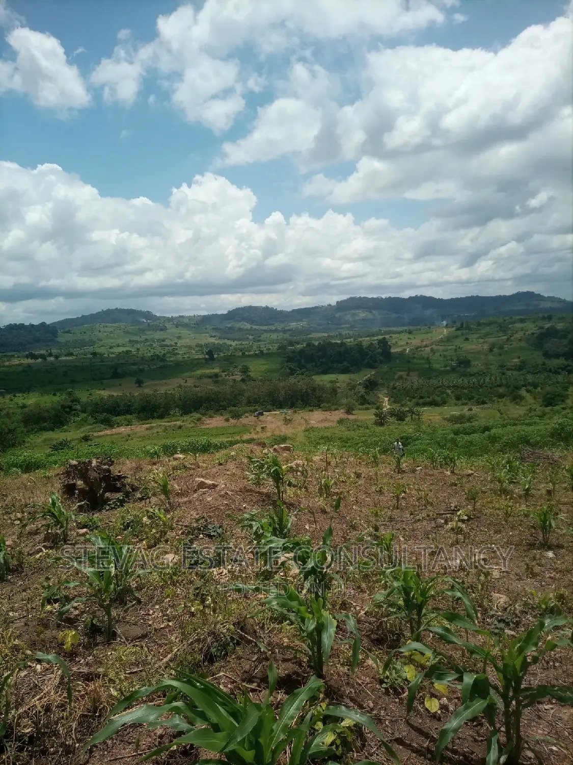 Alpha Properties Estate Land for Sale at Amasaman Obom Ashifla