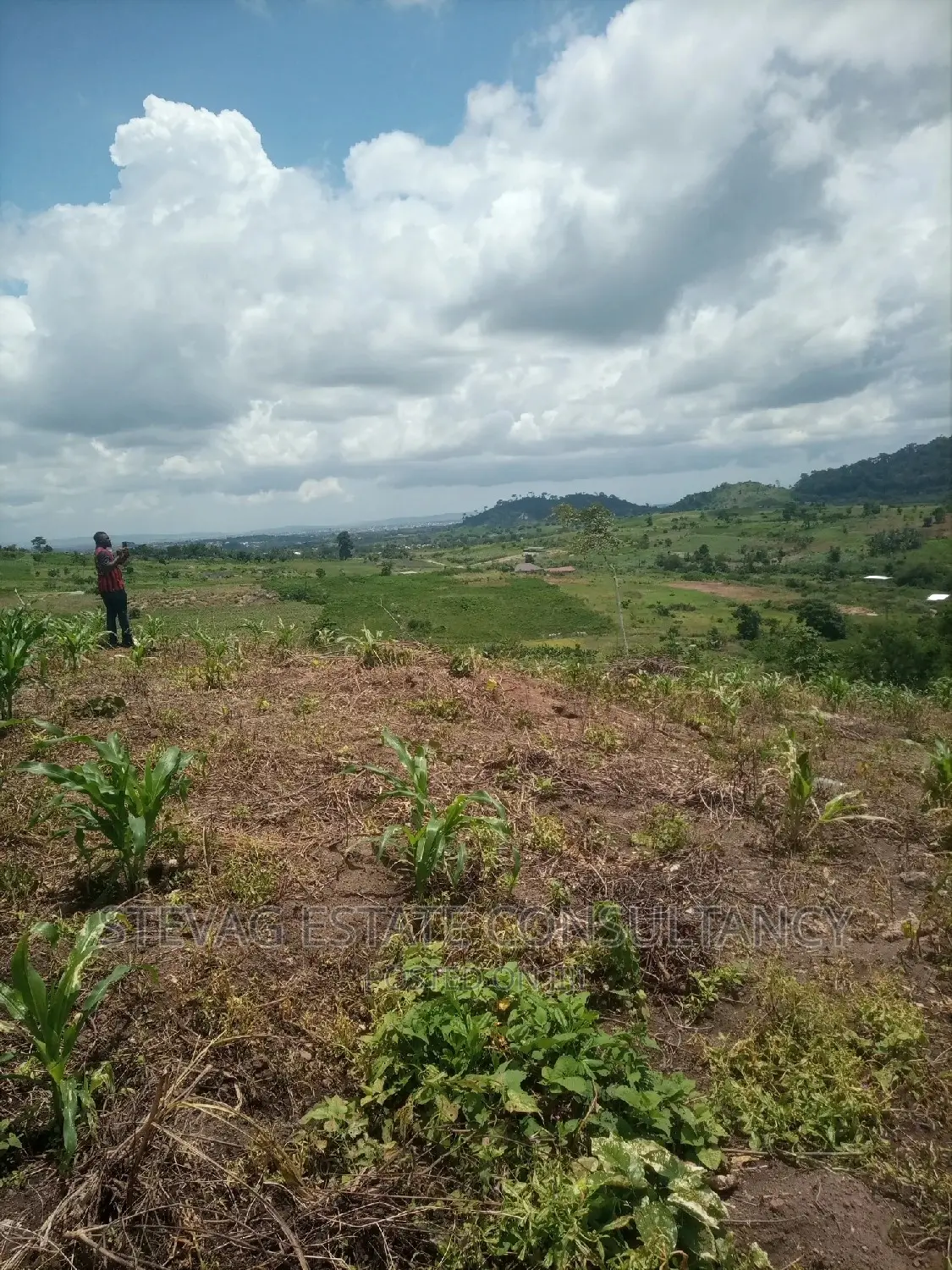 Alpha Properties Estate Land for Sale at Amasaman Obom Ashifla