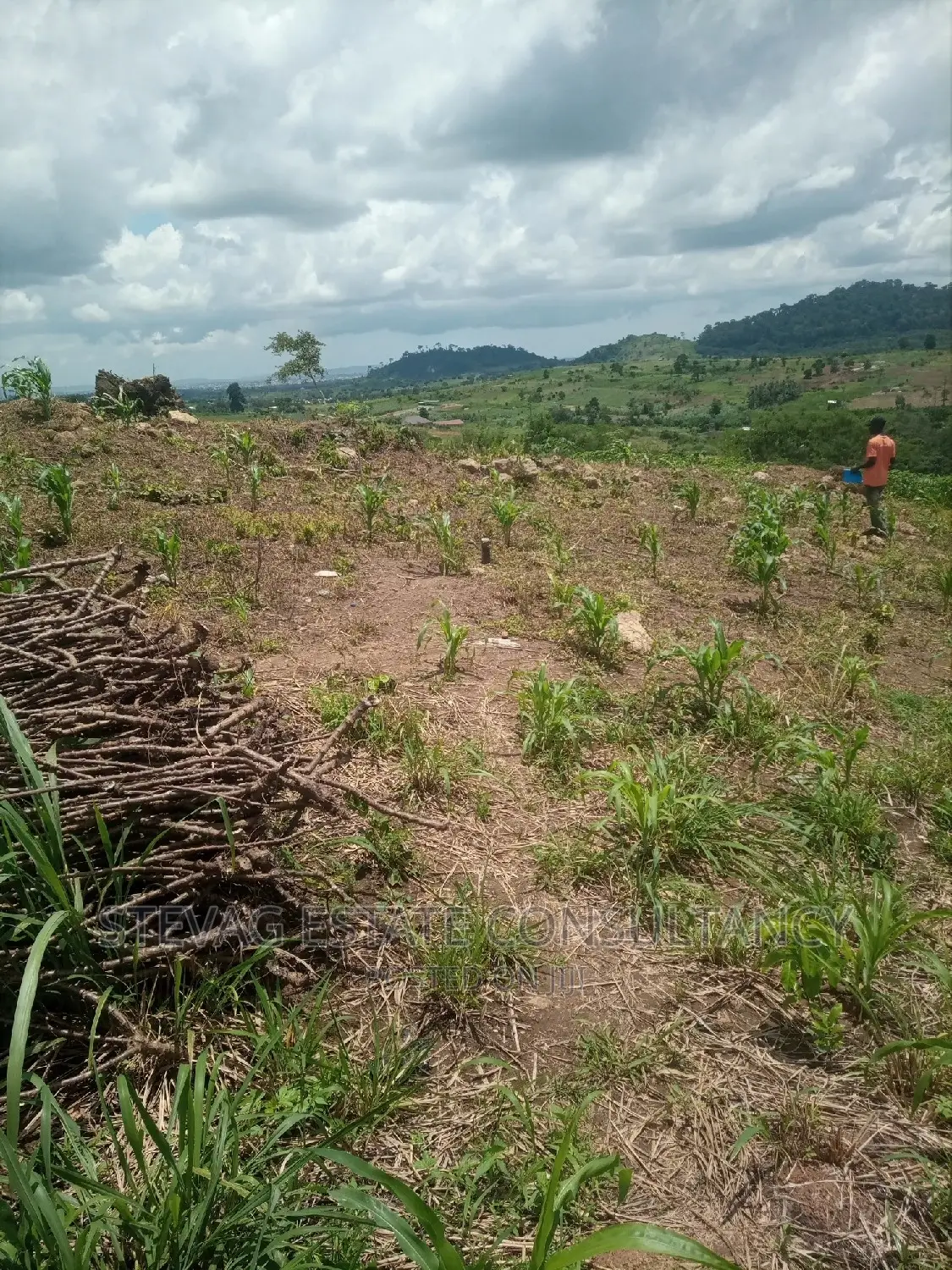Alpha Properties Estate Land for Sale at Bawjiase Tta