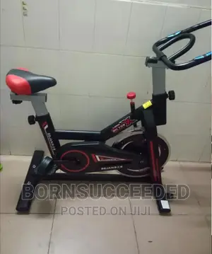 Gym Master Spin Bike - Compact Fitness Equipment