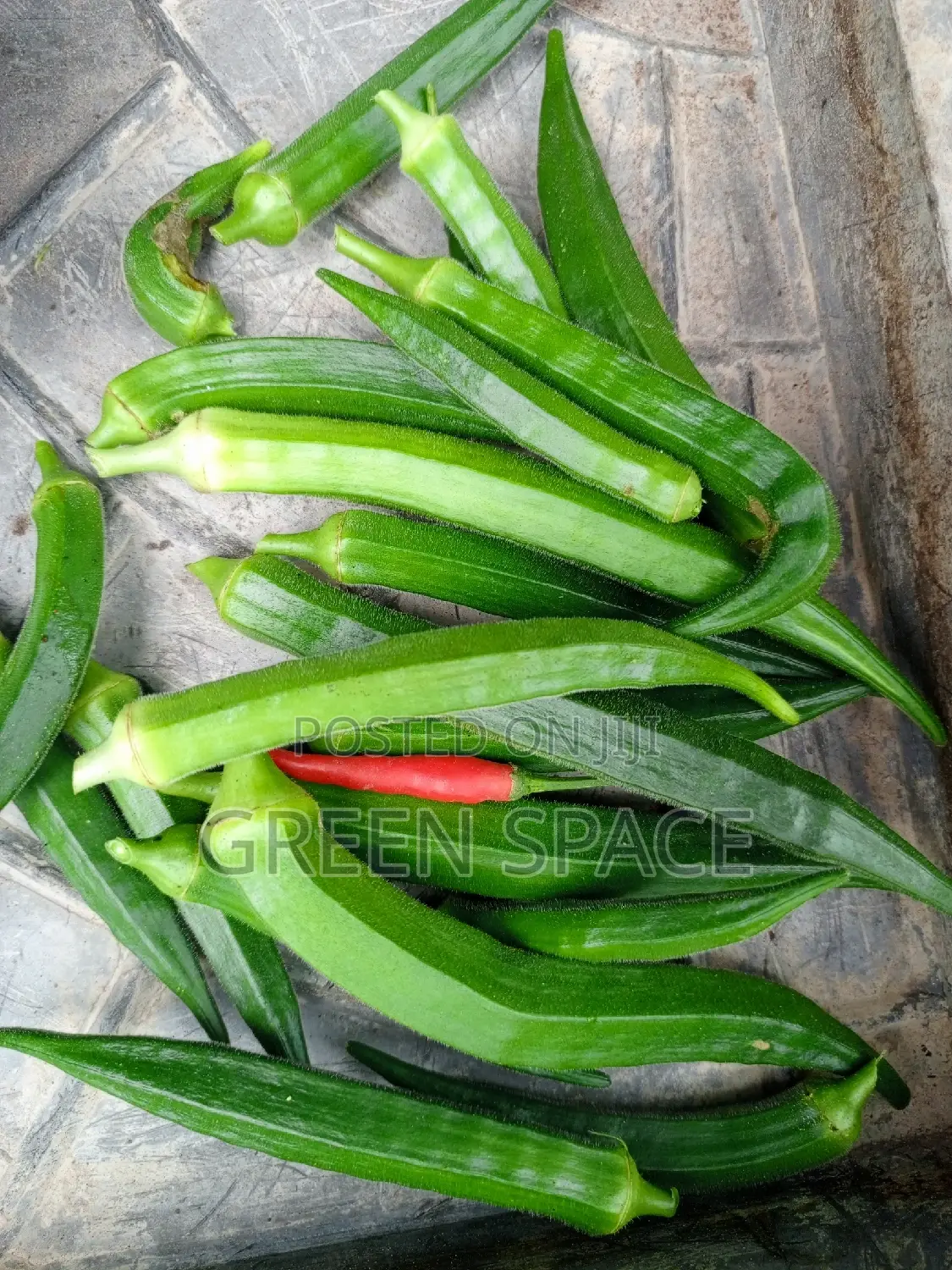 Okro Seeds