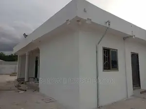 Plasterboard Ceiling And Painting