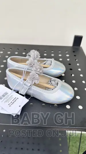 Silver Ballet Shoes