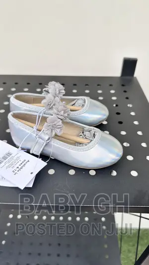 Silver Ballet Shoes