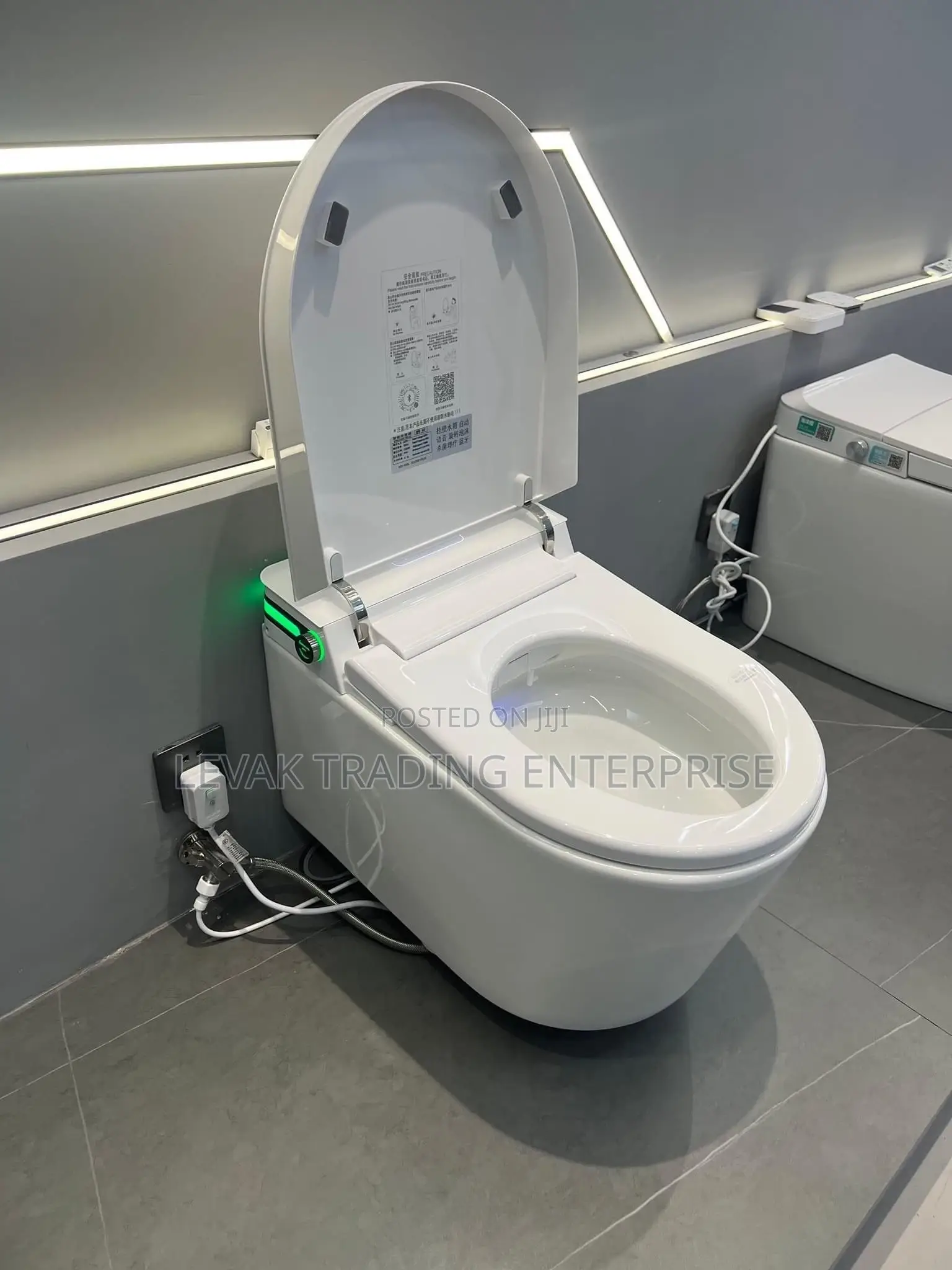 Electrical Smart Wc , Intelligent Wc Toilet, Automatic Wc