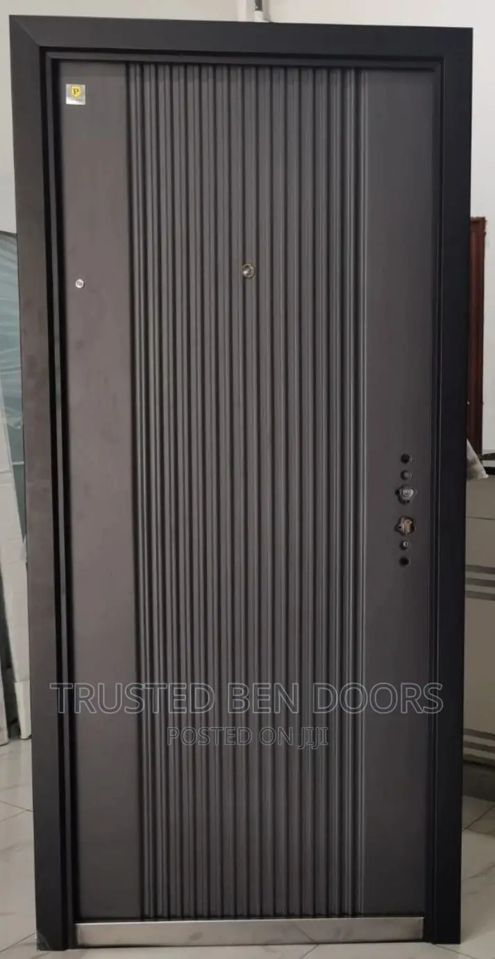Paladin Special Design Security Doors For Interior+Exterior