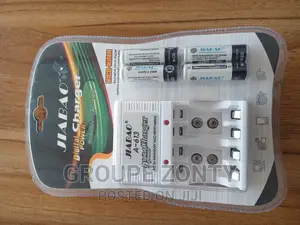 Rechargeable Battery With Charger