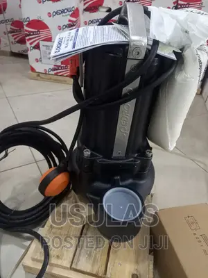 Pedrollo 2hp Sewage Pump