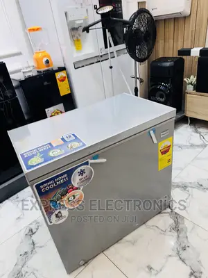 Affordable Yet Quality Chest Freezer Nasco 200L Grey