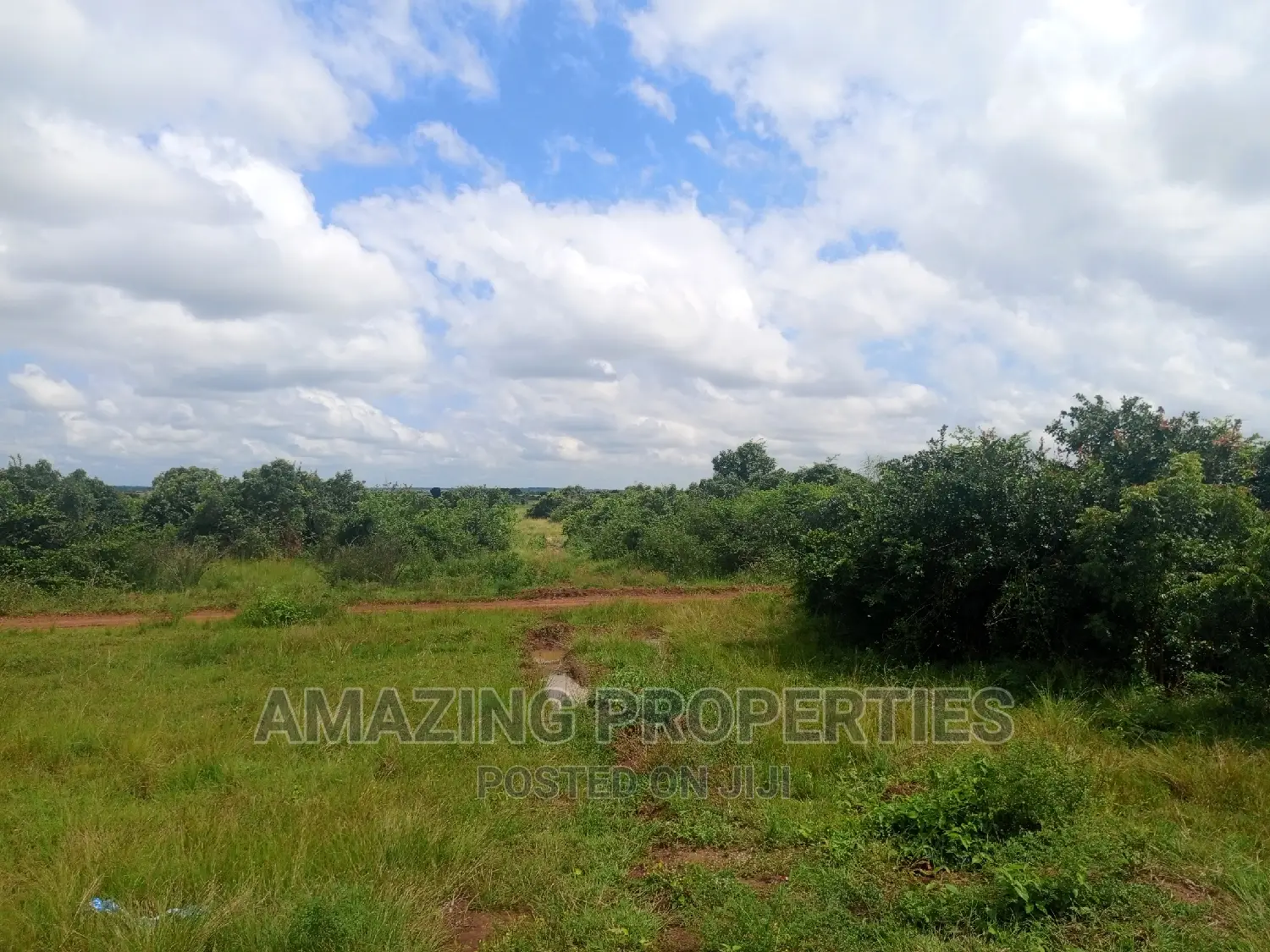 1000 Acres of Land at Akosombo