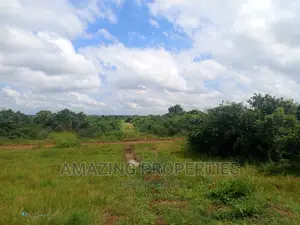 1000 Acres of Land at Akosombo