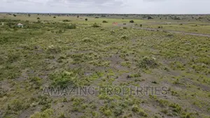 1000 Acres of Land at Akosombo