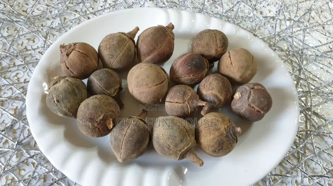 Goron Tula (Snot Apple)