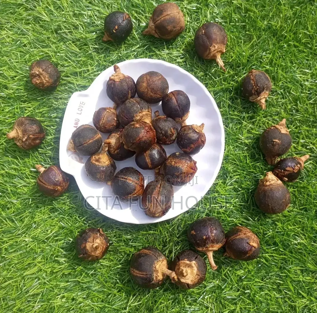 Goron Tula (Snot Apple)