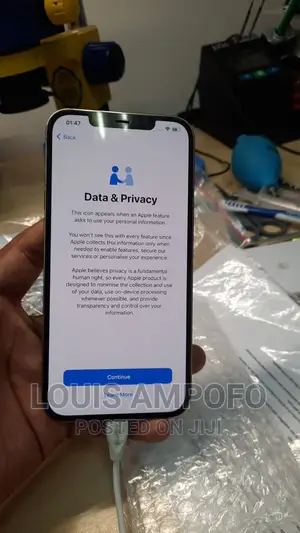 Icloud Removal and Carrier Unlocking Services(5s-17promax)