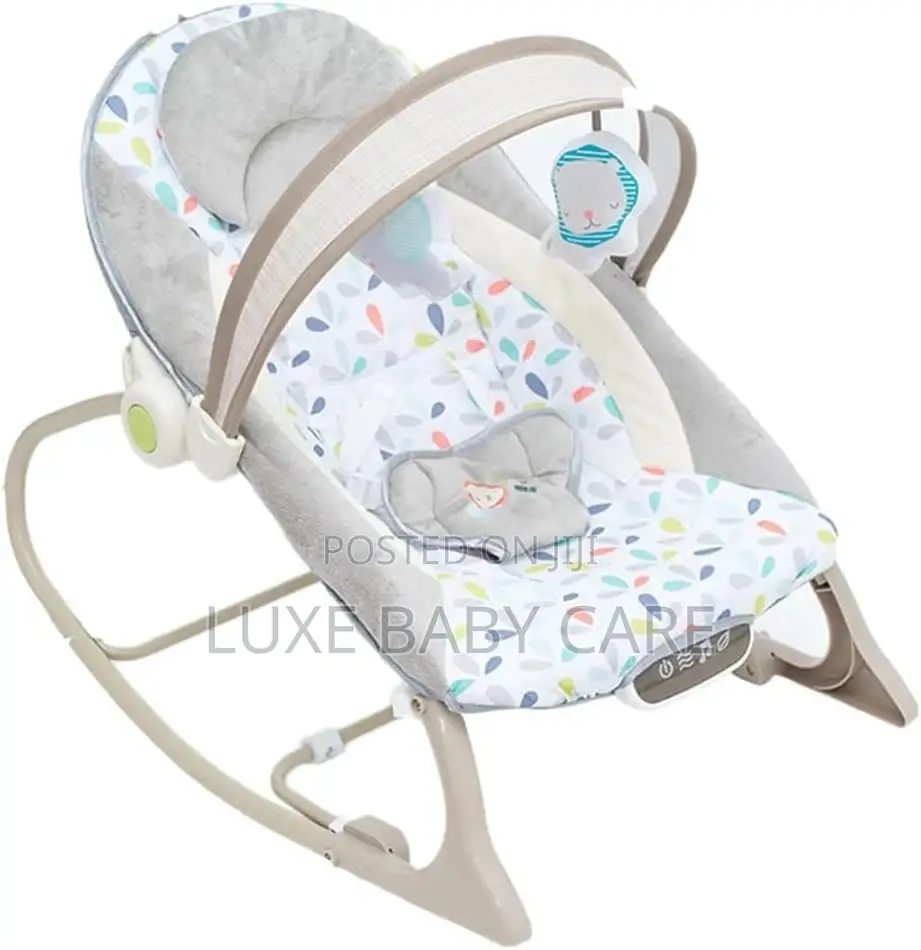Baby 2 in 1 Bouncer