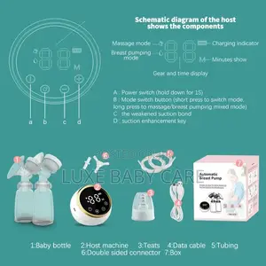 Double Wearable Electric Hands Free Breast
